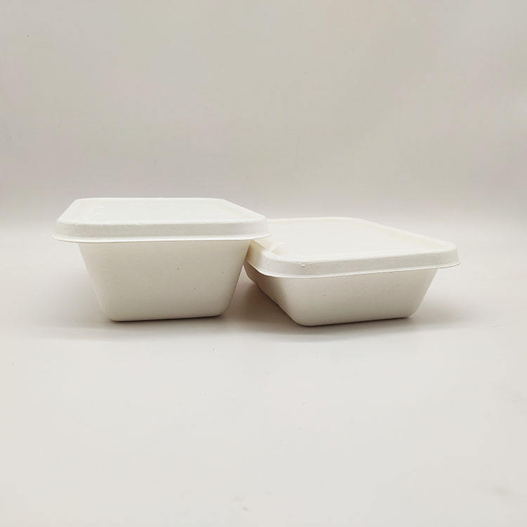 صندوق الغداء للمبيعات المباشرة من المصنع، حاويات طعام ورقية يمكن التخلص منها، لب قصب السكر، صدفي