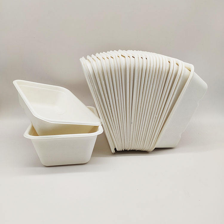 صندوق الغداء للمبيعات المباشرة من المصنع، حاويات طعام ورقية يمكن التخلص منها، لب قصب السكر، صدفي