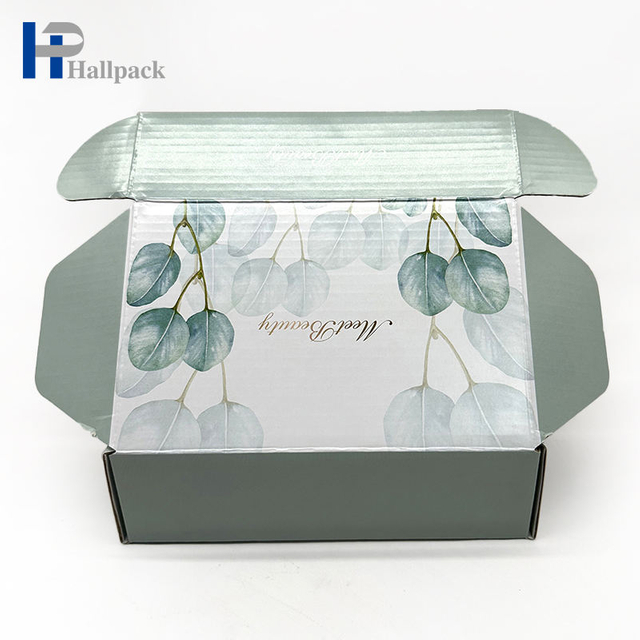 شعار مخصص مطبوع ورق الكرافت صندوق التعبئة والتغليف المموج صندوق بريد صندوق الطائرة