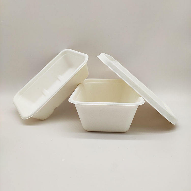 صندوق الغداء للمبيعات المباشرة من المصنع، حاويات طعام ورقية يمكن التخلص منها، لب قصب السكر، صدفي