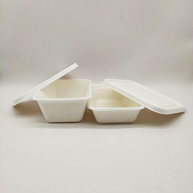 صندوق الغداء للمبيعات المباشرة من المصنع، حاويات طعام ورقية يمكن التخلص منها، لب قصب السكر، صدفي