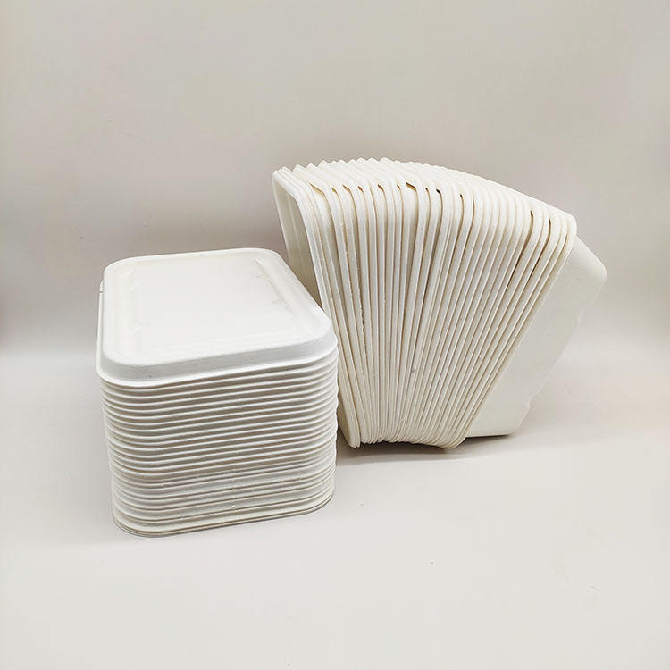 صندوق الغداء للمبيعات المباشرة من المصنع، حاويات طعام ورقية يمكن التخلص منها، لب قصب السكر، صدفي