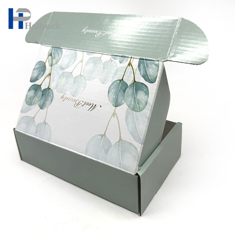 شعار مخصص مطبوع ورق الكرافت صندوق التعبئة والتغليف المموج صندوق بريد صندوق الطائرة